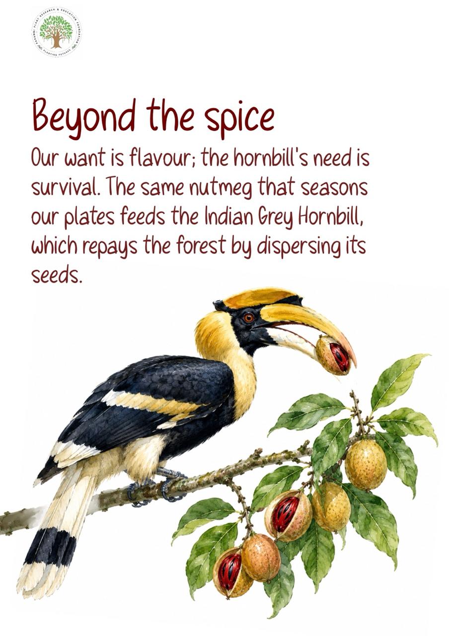 Hidden Connections (Education Booklet) - Image 3