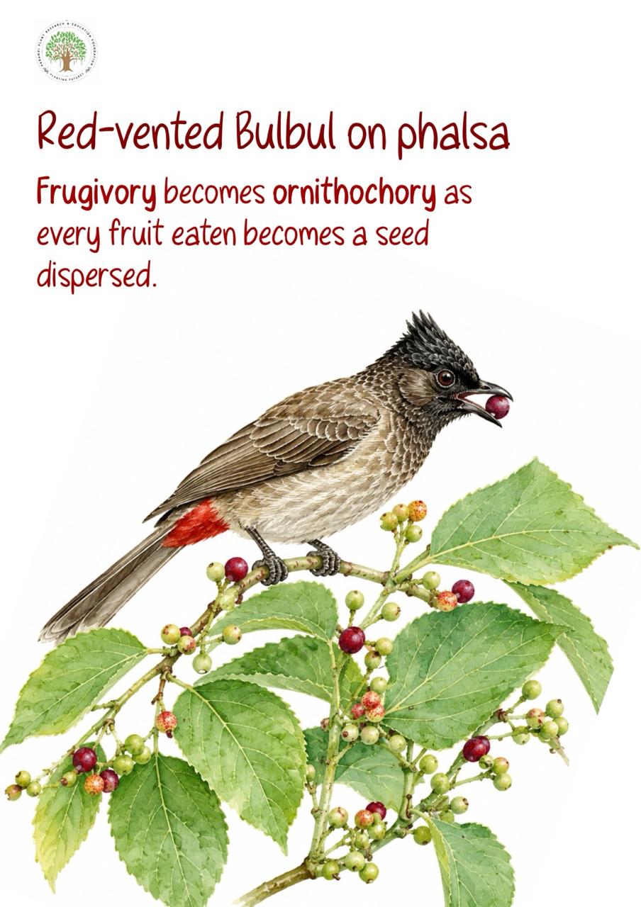 Hidden Connections (Education Booklet) - Image 6