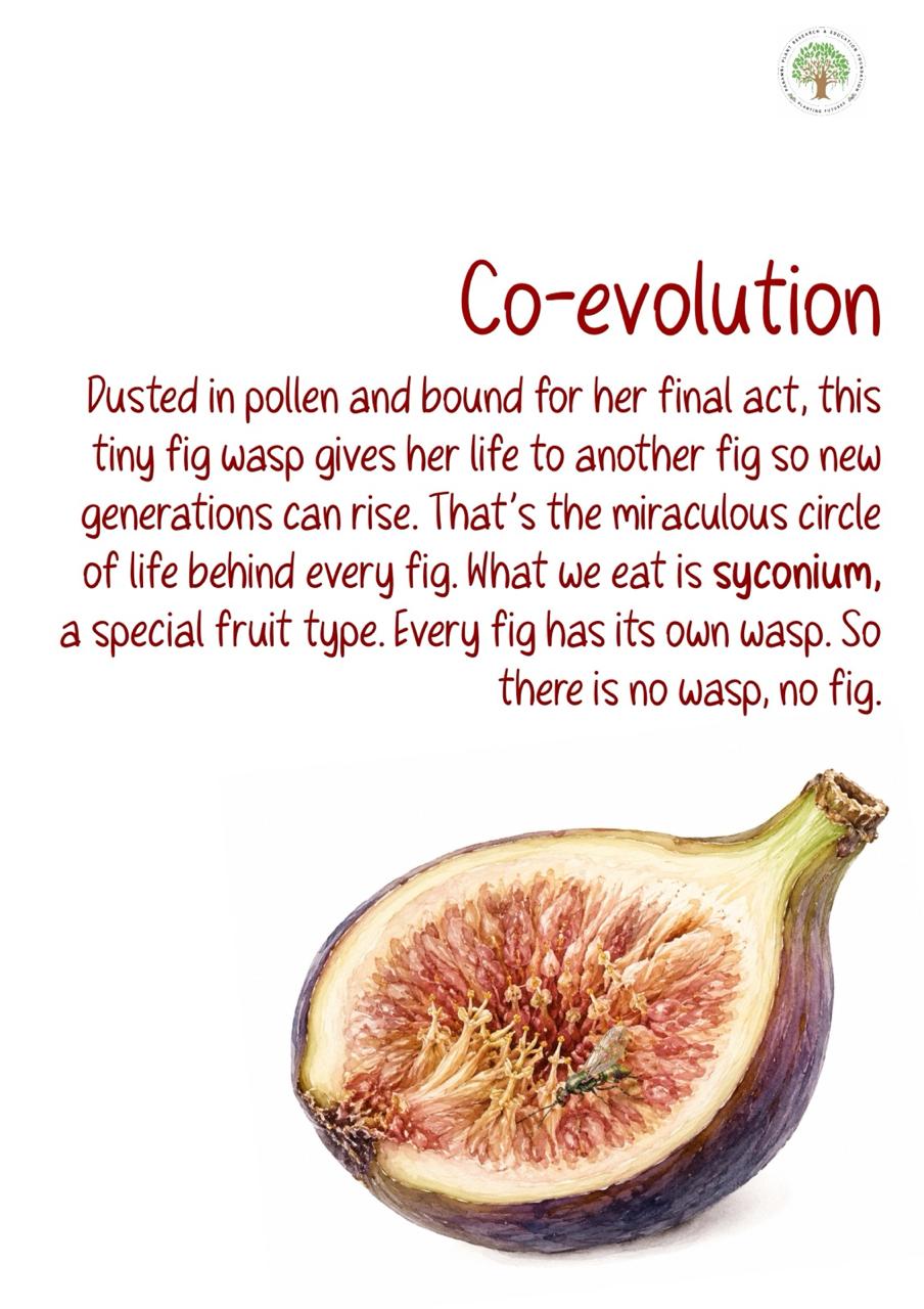 Hidden Connections (Education Booklet) - Image 8